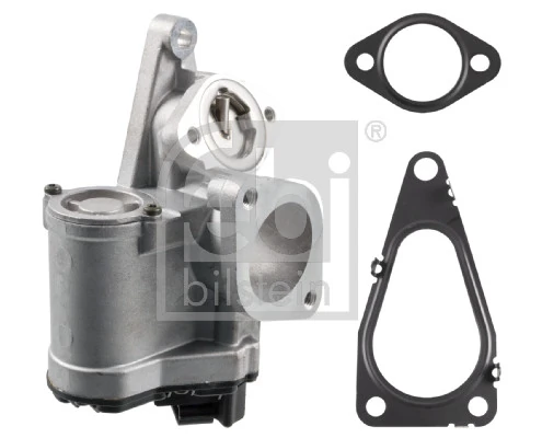 EGR Valve